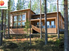 Koli 251